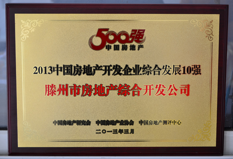 13-3-2013中國房地產開發(fā)企業(yè)10強.jpg