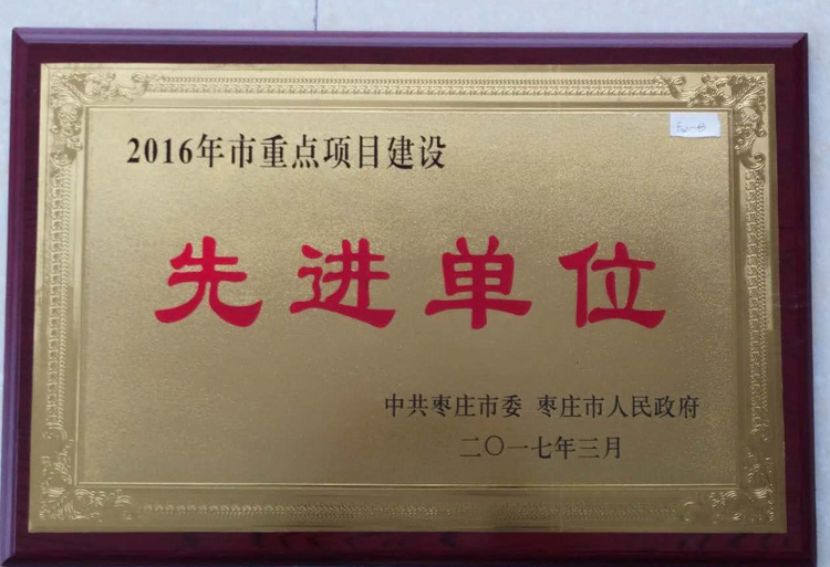 17-3-2016年度市重點項目建設(shè)先進單位.jpg