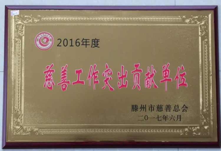 17-6-2016年度慈善工作突出貢獻單位.jpg