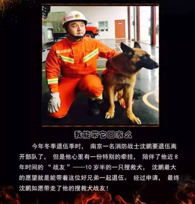 浴火重生的逆行者，肌肉越大責任越大，這才是真漢子——中國消防員(圖23)