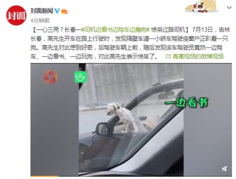 一心三用？司機邊看書邊駕車邊擼狗驚呆過路司機
