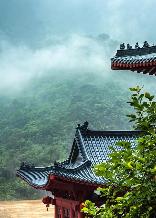 今日大暑丨迎風(fēng)沐雨，憧憬未來(圖3)