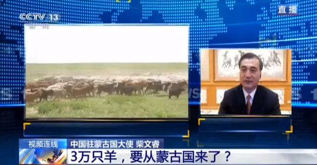 蒙古國(guó)送的3萬只羊會(huì)變成羊肉 吃貨網(wǎng)友：準(zhǔn)備好了(圖2)