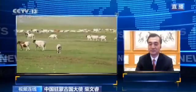 蒙古國(guó)送的3萬只羊會(huì)變成羊肉 吃貨網(wǎng)友：準(zhǔn)備好了(圖3)