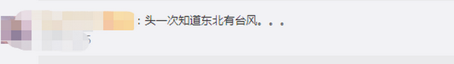 臺(tái)風(fēng)“美莎克”致吉林玉米大面積倒伏，像棉被一樣鋪在地上，減產(chǎn)已成定局(圖2)