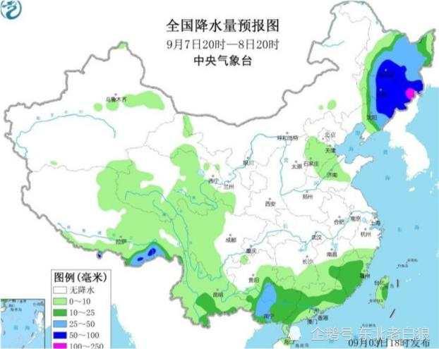 臺(tái)風(fēng)“美莎克”致吉林玉米大面積倒伏，像棉被一樣鋪在地上，減產(chǎn)已成定局(圖10)