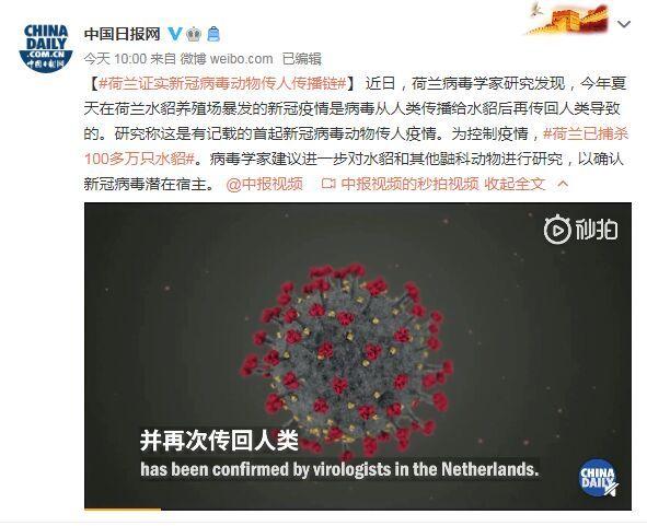 首起！荷蘭證實(shí)新冠病毒動(dòng)物傳人疫情鏈條：病毒從人類傳播給水貂后再傳回人類